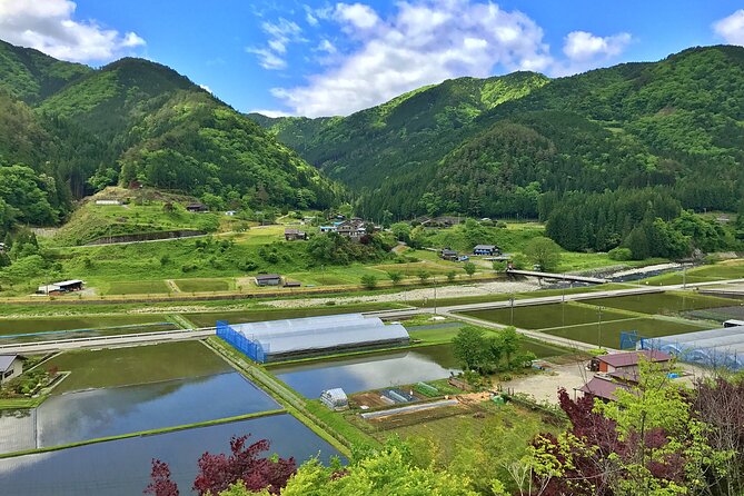 1-Day Private Rural E-Bike Tour in Hida - Weather, timing, and the no-show rule