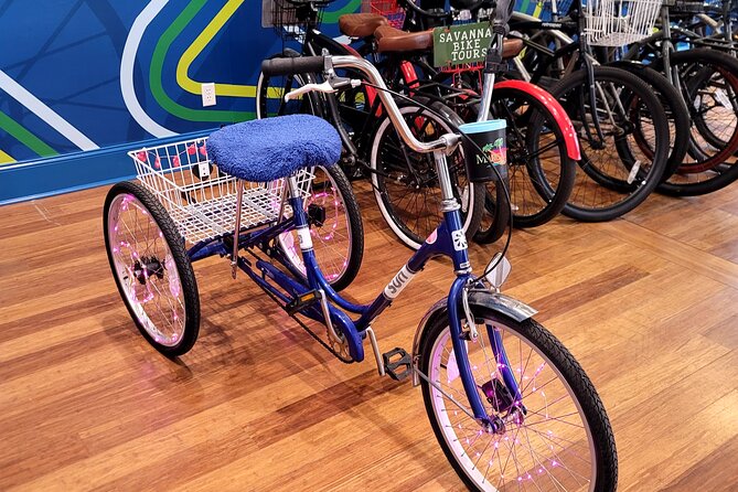 2-Hour Explore Savannah Bike Tour - Monterey Square and a literary mystery