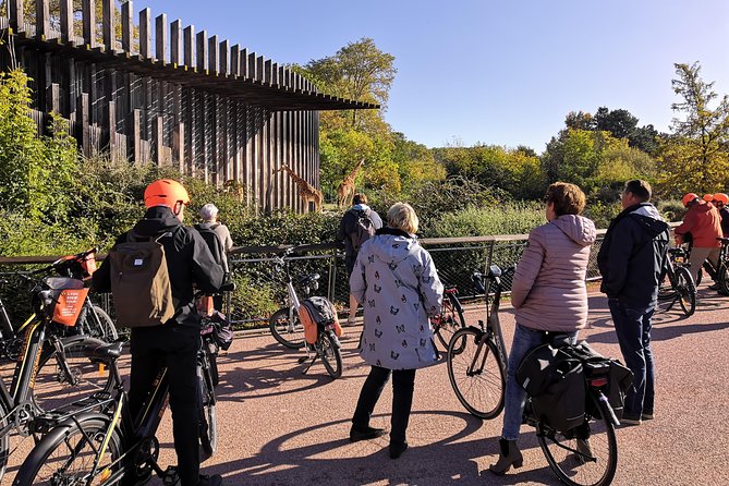 2h - Electric Bike Tour of Lyon with a Local Guide - The city’s famous painted wall