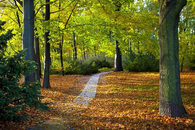 3-Hour Bike Tour of Tiergarten and Berlin's Hidden Places - Five details that shape the ride