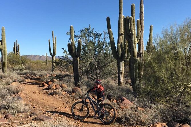 3 Hour Sonoran Desert Private Guided Mountain Bike Tour - A private guide who teaches as he rides