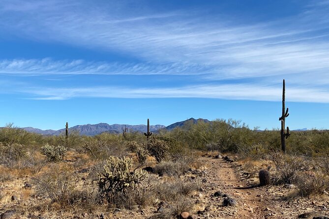 3 Hour Sonoran Desert Private Guided Mountain Bike Tour - How much challenge should you expect?