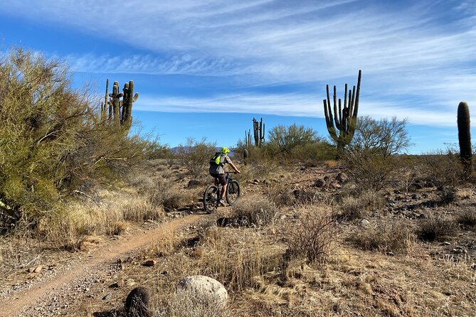 3 Hour Sonoran Desert Private Guided Mountain Bike Tour - Private format and group fit