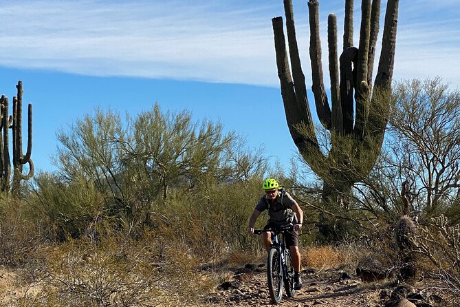 3 Hour Sonoran Desert Private Guided Mountain Bike Tour - The bikes and gear you receive