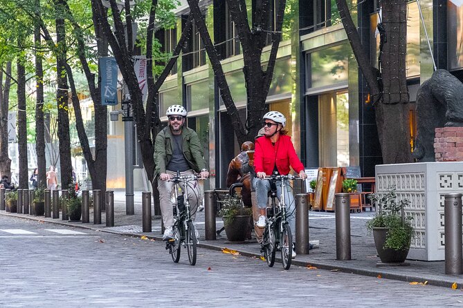 3-Hour Tokyo Private E-Bike Tour Starting from Your Hotel - Why an e-bike is a smart way to meet Tokyo