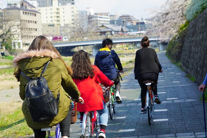 4.5-Hour Kyoto Bike Tour with Lunch and UNESCO Zen Temples - What $99.10 includes, and where the value lies