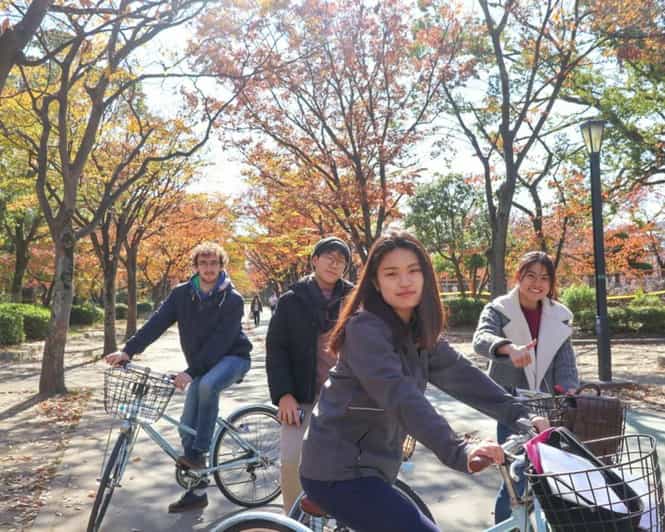 5-Hour Osaka Highlights Bike Tour with Lunch - Key points to know before you book