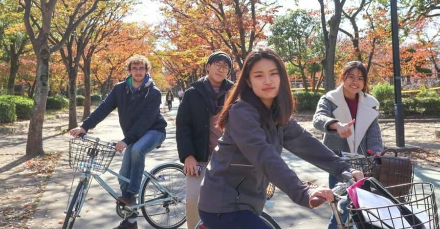 5-Hour Osaka Highlights Bike Tour with Lunch - Matcha and a quiet final stop