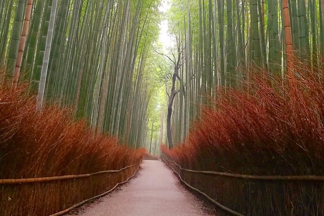 5 Top Highlights of Kyoto Full Day Bike Tour (E-bike option) - Gion reveals Kyoto’s older street life