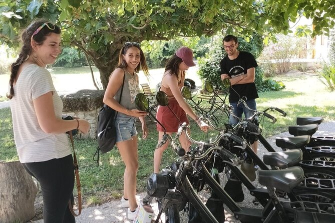 A Tour in Provence in a typical French motorized bike : the Solex - Muscat vines and olive groves on the Chemin des Bernardins