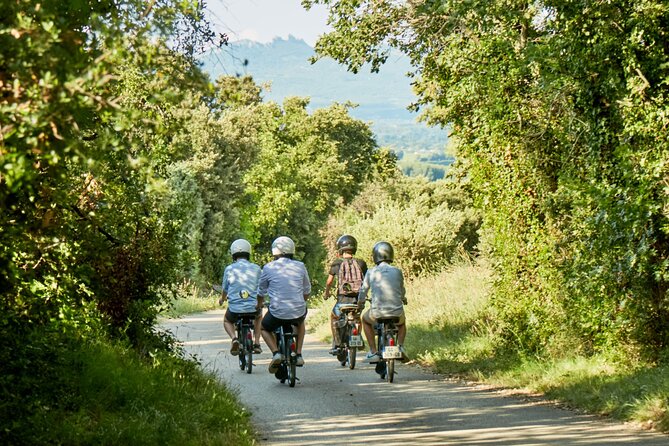 A Tour in Provence in a typical French motorized bike : the Solex - What Clément adds to the experience