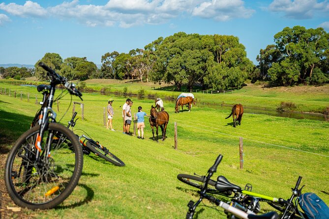 Adelaide City to Sea Bike Tour - The River Torrens Linear Park Trail
