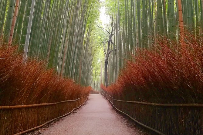 Afternoon Kyoto Bike Tour: Bamboo Forest, Monkeys & Hidden Spots - What the four-hour schedule really gives you