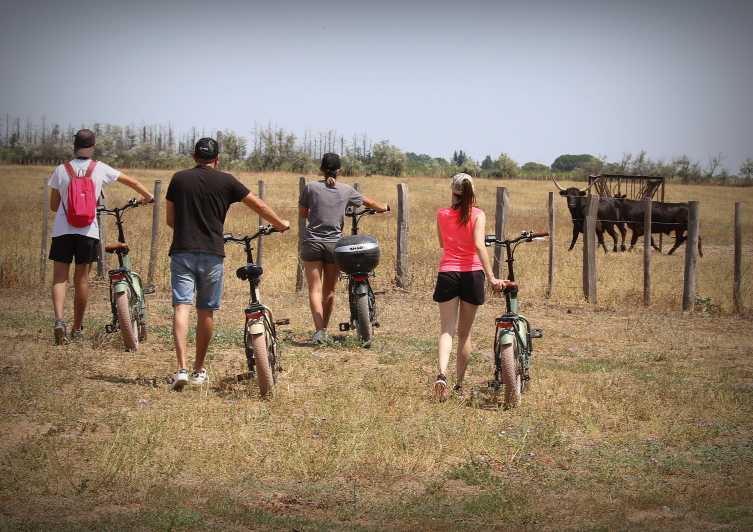 Aigues Mortes: safari en vélo - Ebike tour in Camargue - Key points to know before you ride