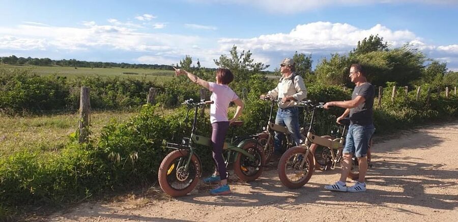 Aigues Mortes: safari en vélo - Ebike tour in Camargue - Timing, comfort, and what to bring