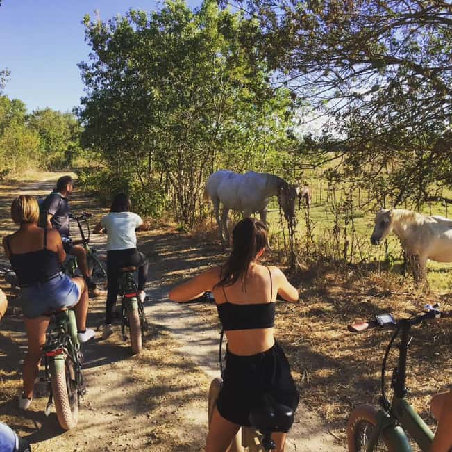 Aigues Mortes: safari en vélo - Ebike tour in Camargue - Marshes, canals, and vineyards along the route