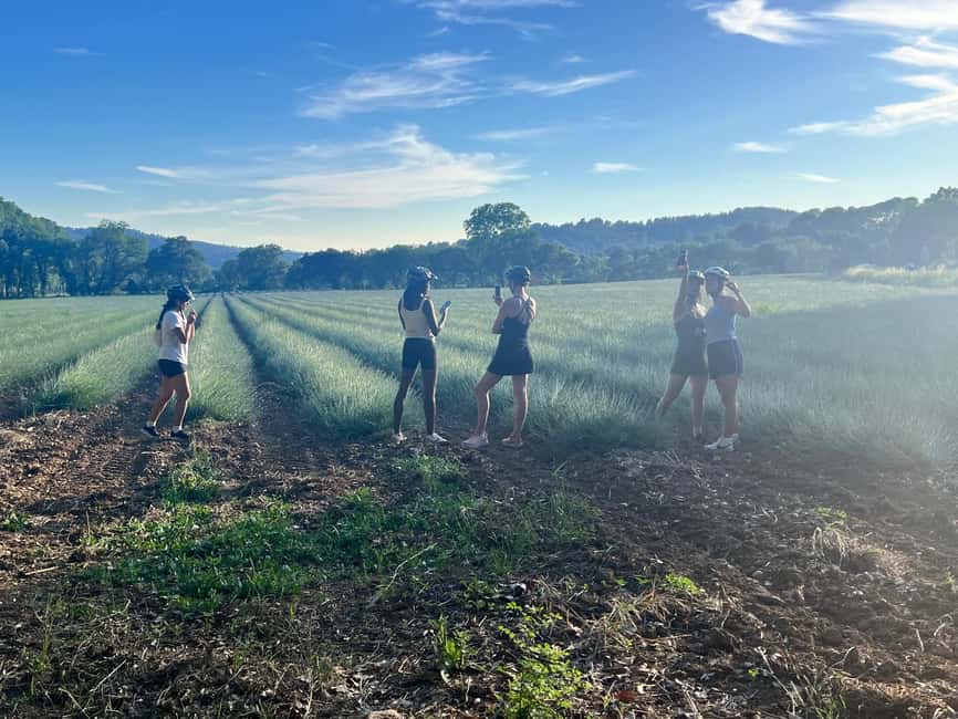 Aix-en-Provence: E-Bike Tour of Mount Sainte-Victoire - The Sainte-Victoire route and its changing surfaces