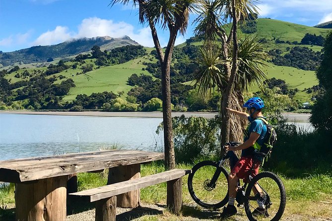 Akaroa Explorer- Guided Electric Bike Tour in Akaroa - Is $83.78 a fair price?