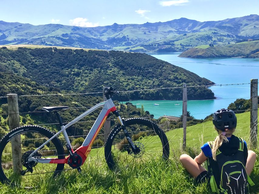 Akaroa: Guided Electric Mountain Bike Tour-Lava Loop - The views that reward the uphill work