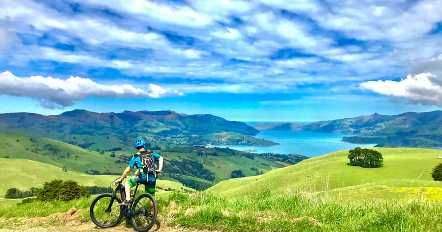 Akaroa: Guided Electric Mountain Bike Tour-Lava Loop - Practical booking advice before you go