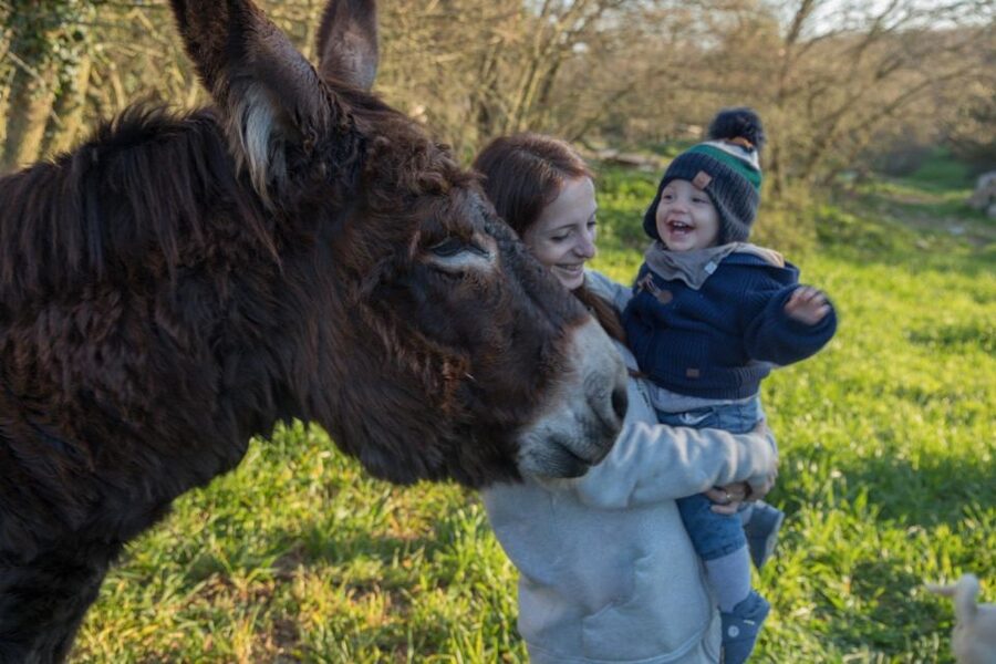 Alberobello: Guided e-bike tour + mill & donkey farm - Timing, languages, and practical details
