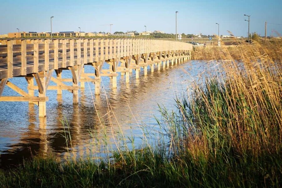 Albufeira: E-Bike tour of Nature Trails and Tradition - Key points to know before you book