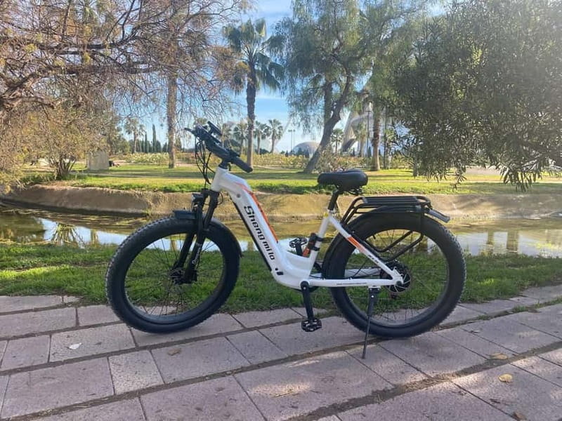 Albufera Bike Adventure: Wetlands, Beaches & Biodiversity - Key points at a glance