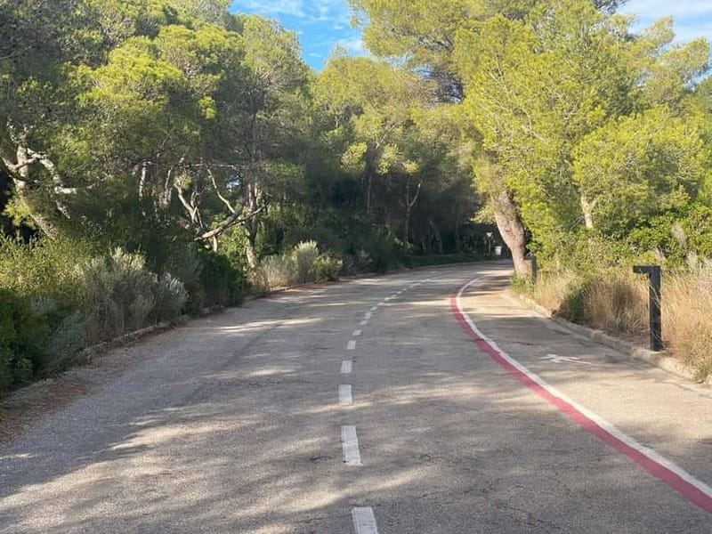 Albufera Bike Adventure: Wetlands, Beaches & Biodiversity - Leaving Ruzafa for Valencia’s southern edge