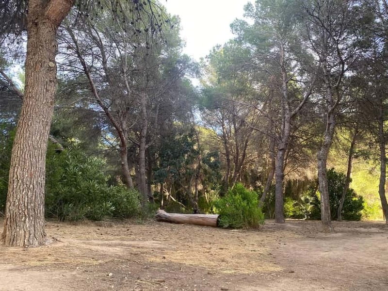 Albufera Bike Adventure: Wetlands, Beaches & Biodiversity - Racó de l’Olla and the living wetland