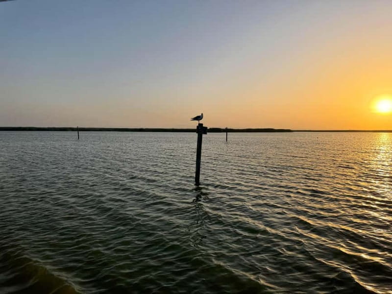 Albufera Bike Adventure: Wetlands, Beaches & Biodiversity - Pinedo and the coast: a gentle change of pace