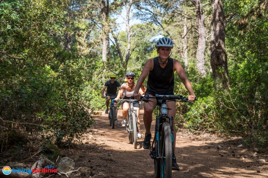 Alghero: E-bike tour inside the Natural Park of Porto Conte - Fitness, equipment, and what to bring
