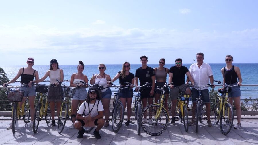 Alicante: City and Beach Bike Tour - The port, Explanada, and old trees