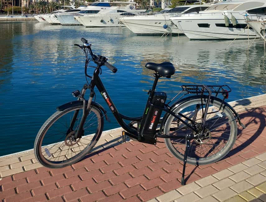 Alicante City Bike Tour. Only Small groups - Why Alicante works so well by bicycle