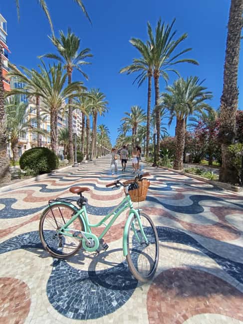 Alicante City Bike Tour. Only Small groups - The port and the Mediterranean edge