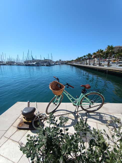 Alicante City Bike Tour. Only Small groups - El Palmeral Park and the wider route
