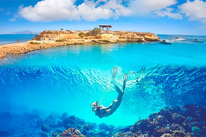 Alicante E-Bike Coast Tour with Román Fishpond and Snorkeling - Key points to know before you book