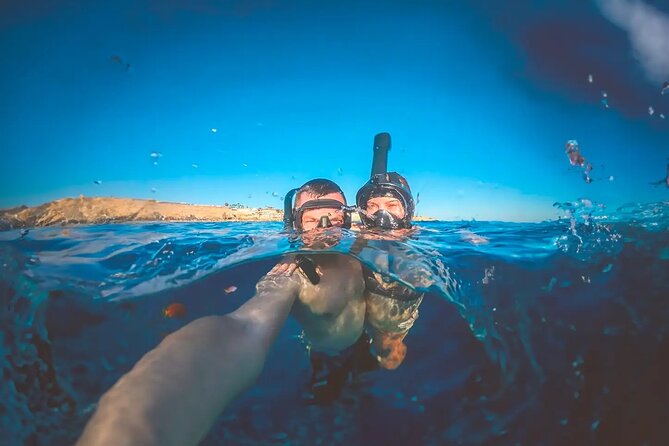 Alicante E-Bike Coast Tour with Román Fishpond and Snorkeling - Mirador del Raval Roig and Postiguet views