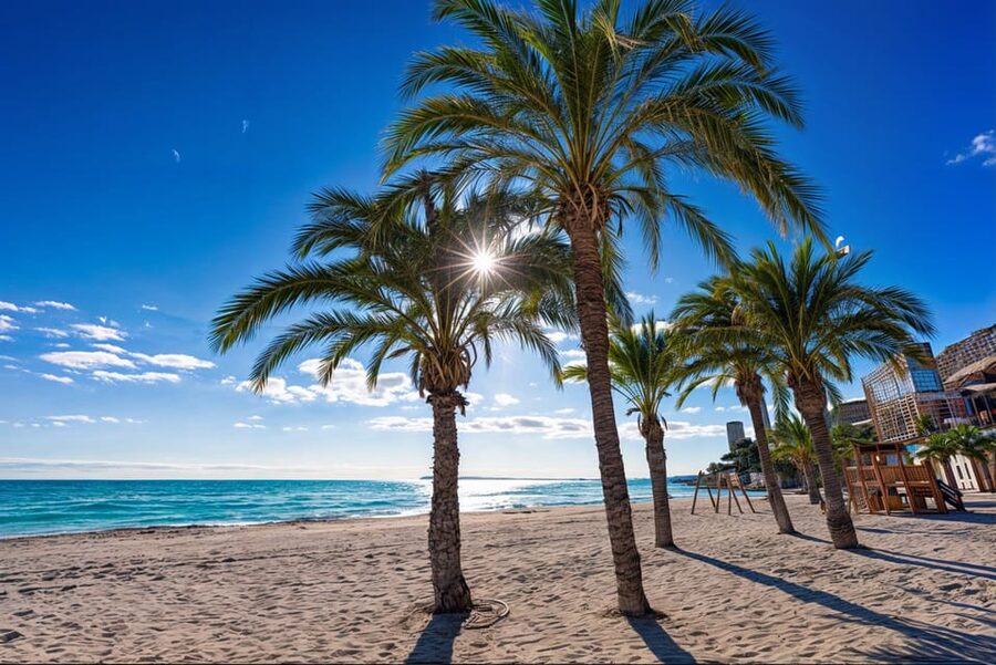 Alicante: Spot the Mediterranean by E-bike - Key points to know before you book