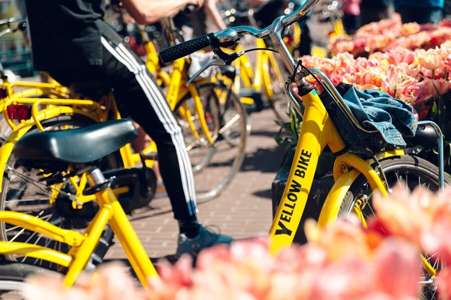 Amsterdam Bike Rental: Central Station & City Center - The bike setup: simple equipment that matters