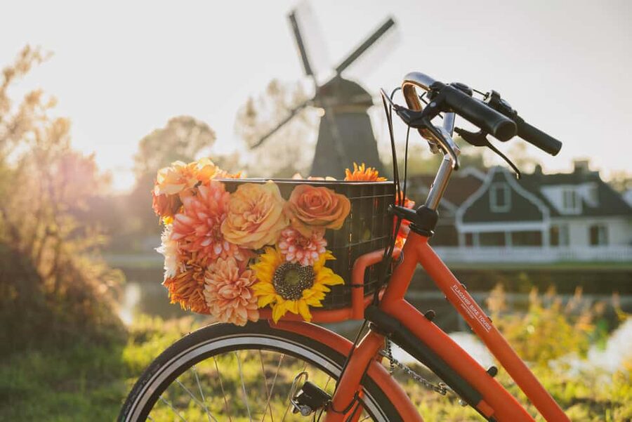 Amsterdam: Cheese Tasting, Windmill & Countryside Bike Tour - Durgerdam and the old village roads