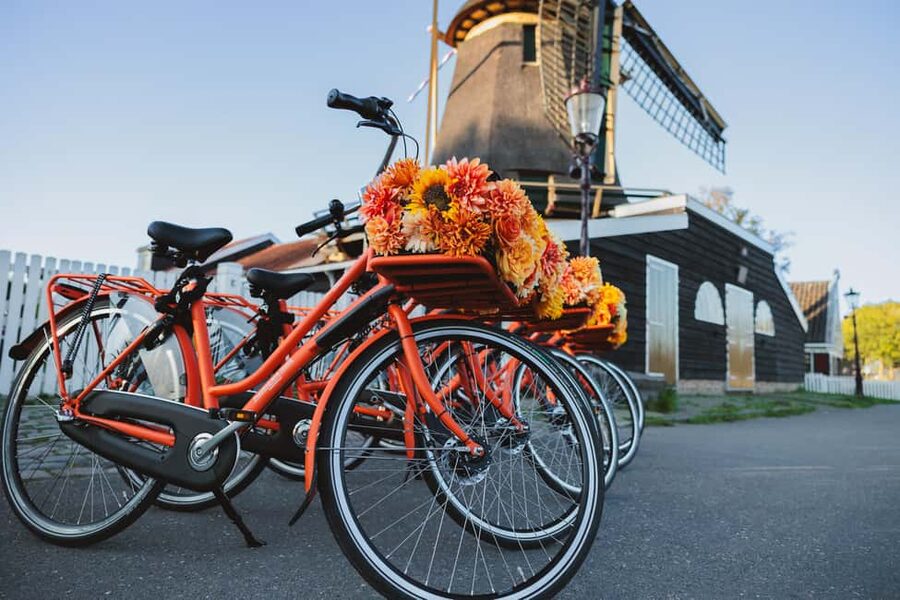 Amsterdam: Cheese Tasting, Windmill & Countryside Bike Tour - Nieuwendammerdijk and the IJ River views