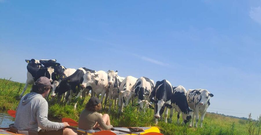 Amsterdam: Countryside Bike and Kayak Guided Tour - At a glance: what makes this tour worthwhile