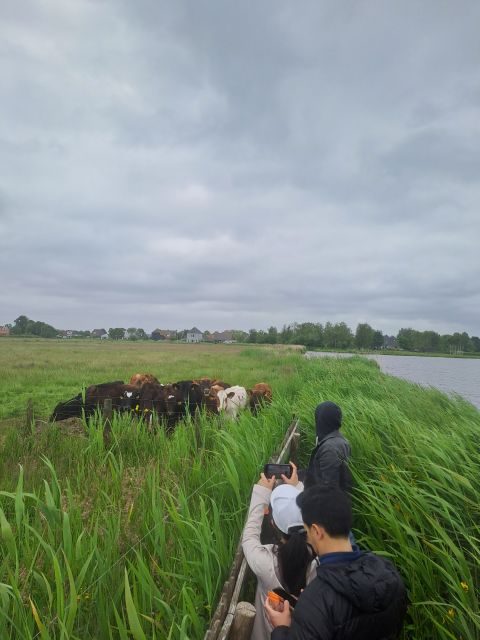 Amsterdam: Countryside Bike and Kayak Guided Tour - Leaving Amsterdam by ferry and bicycle