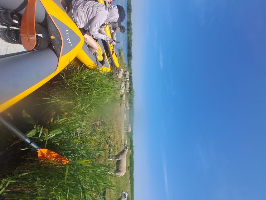 Amsterdam: Countryside Bike and Kayak Guided Tour - Cycling back through North Holland