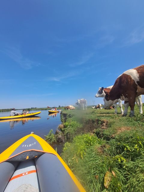 Amsterdam: Countryside Bike and Kayak Guided Tour - What the guide adds to the day