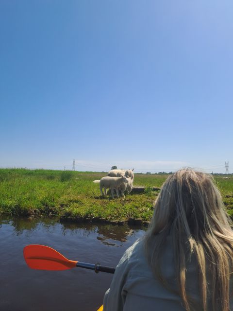 Amsterdam: Countryside Bike and Kayak Guided Tour - d’Admiraal Windmill and a piece of working Amsterdam