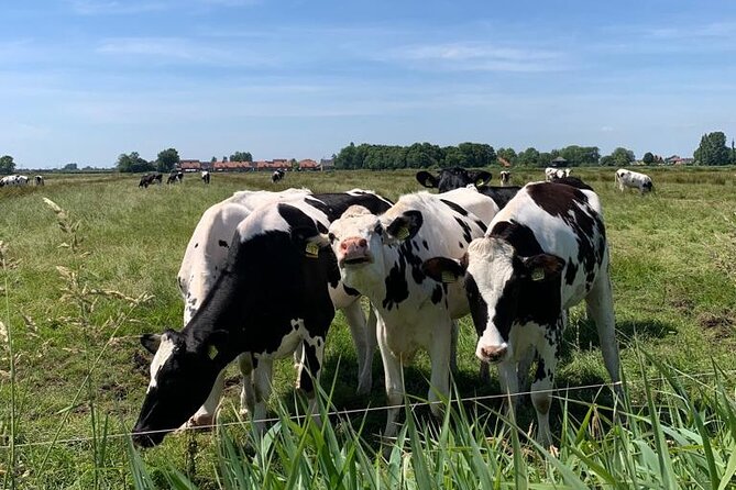 Amsterdam Countryside Bike and Kayak Tour - Watergang and the quiet work of kayaking