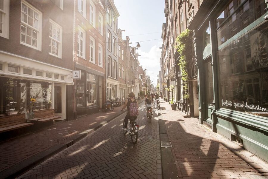 Amsterdam: Hidden Gems & Highlights Guided Bike Tour - Museumplein connects Amsterdam’s major museums