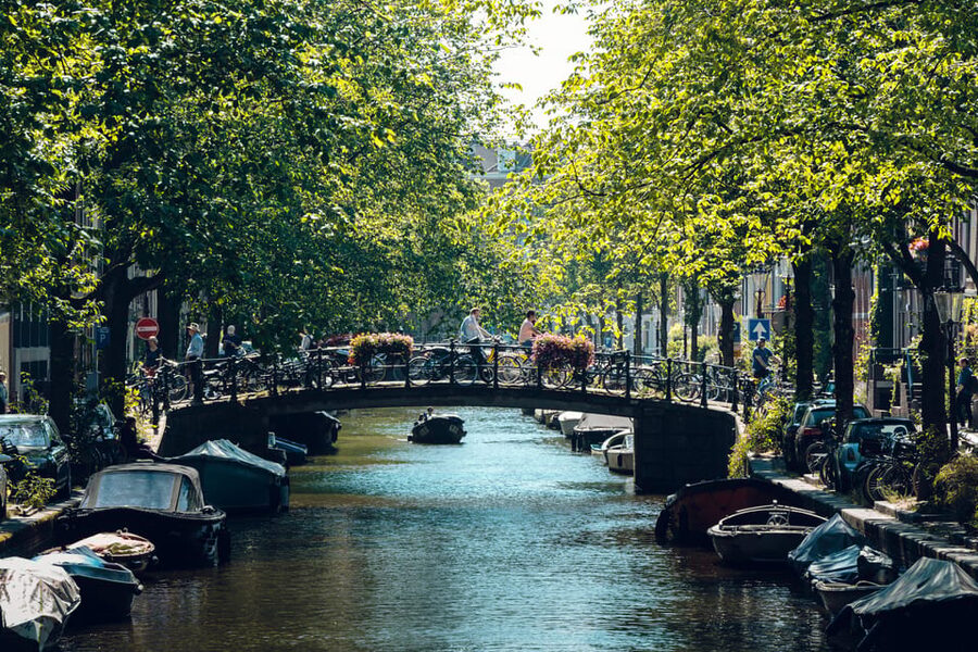 Amsterdam: Relaxed City Highlights Guided Bike Tour - What the guides add to the ride