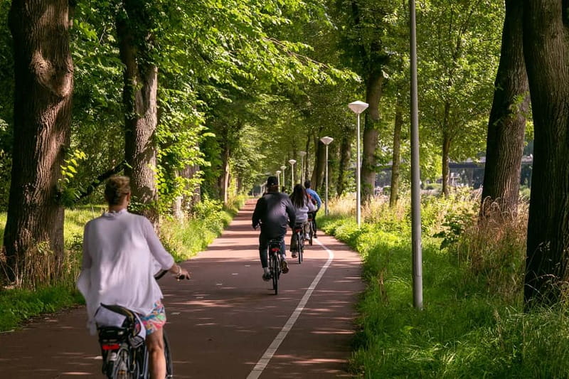 Amsterdam: Windmill, Cheese, and Countryside E-Bike Tour - The windmill near Amsterdam North